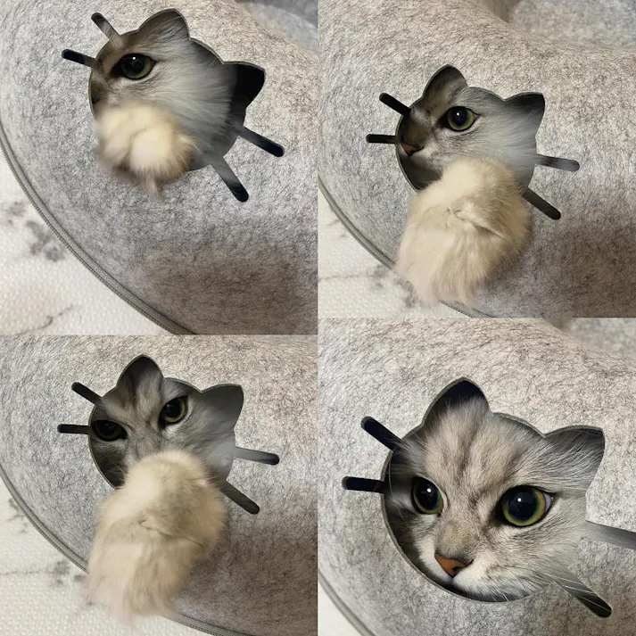 Cats toy キャッツ トイ トンネル ライトグレー 猫 ベット 猫の隠れ家 トンネル型 ネコ ベッド キャット ハウス 大きい おもちゃ ドーナツ