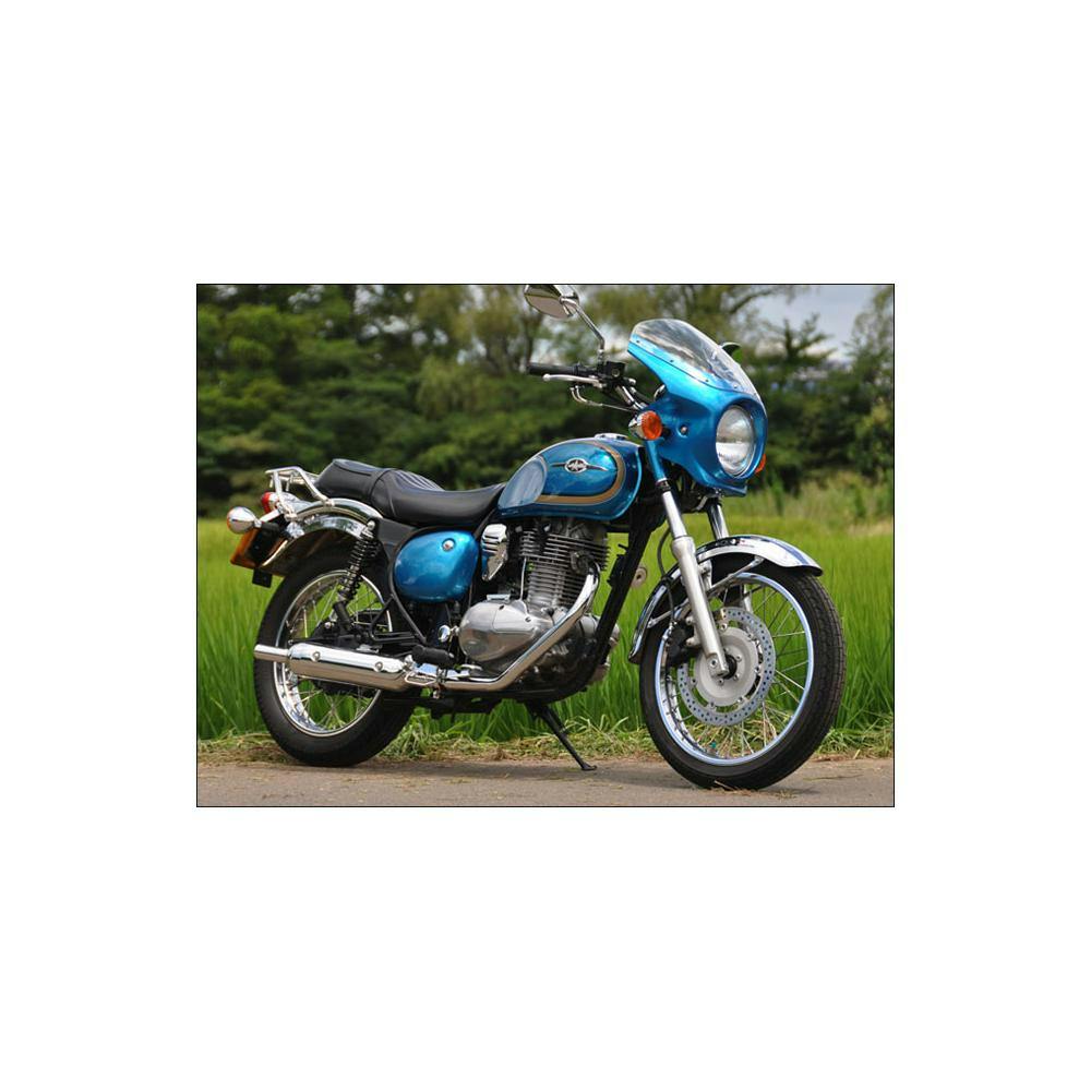 シックデザイン マスカロードビキニカウル Z900RS 火の玉カラー