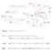 姿勢が良くなるプロポーションチェア 学習椅子 キッズ 高さ調整 木製 学習チェア 学習 椅子 勉強椅子 学習いす バランスチェア 子供 キッズチェア 小学生 中学生 高校生 大人 宮武製作所 集中力