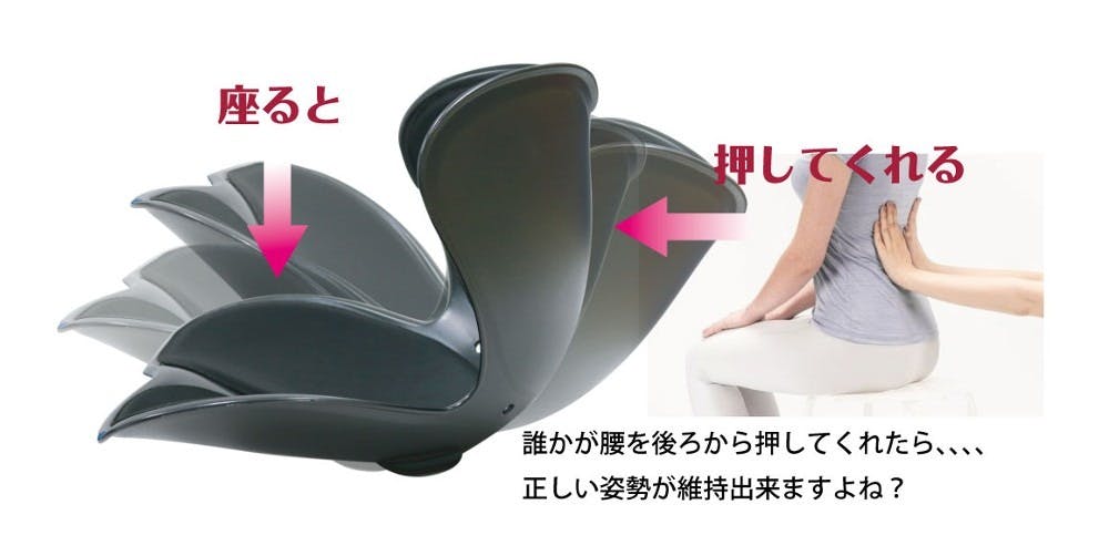 BK60085 セシルシェイプ(ブラック) 4573242548266 | クッション 通販