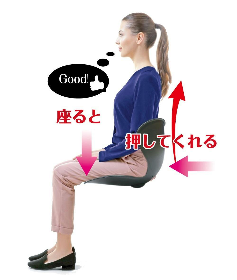 BK60085 セシルシェイプ(ブラック) 4573242548266 | クッション 通販