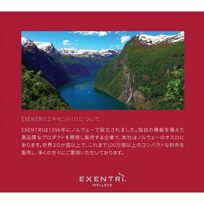 EXENTRI エキセントリ ミニマルウォレット スキミング防止 RFIDブロック【ミニマル財布 三つ折り財布 本革 ミニウォレット カード入れ 定期入れ 薄型 大容量 メンズ レディース】 ブラック