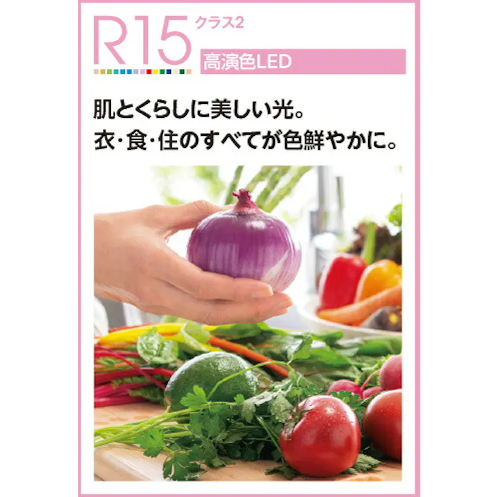 オーデリック LEDブラケットライト 白熱灯40W相当 非調光 電球色:OB255191LR 4549727018807