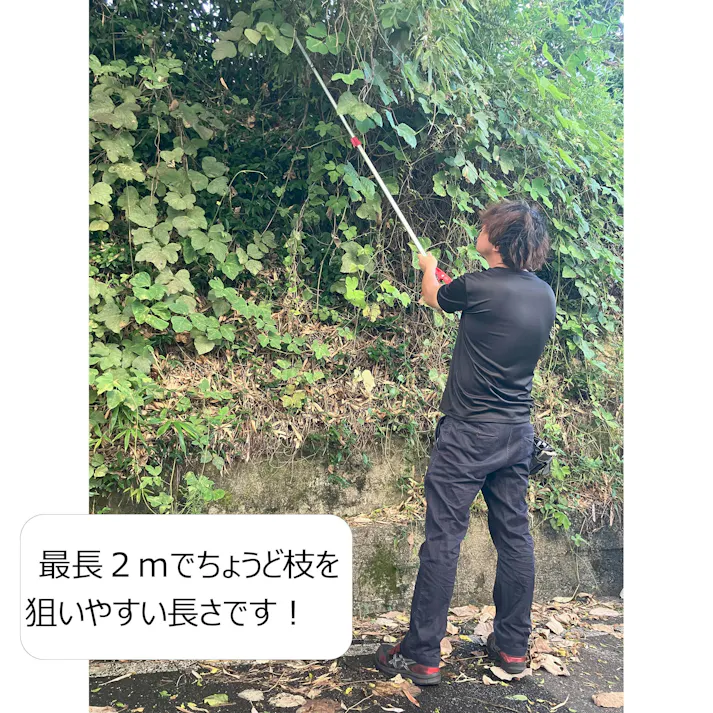 大進 伸縮式 高枝切りばさみ 2m 剪定 鋸 高枝切ばさみ 高枝切鋏 3段 4939736703397