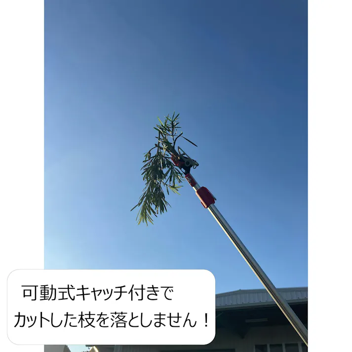 大進 伸縮式 高枝切りばさみ 2m 剪定 鋸 高枝切ばさみ 高枝切鋏 3段 4939736703397