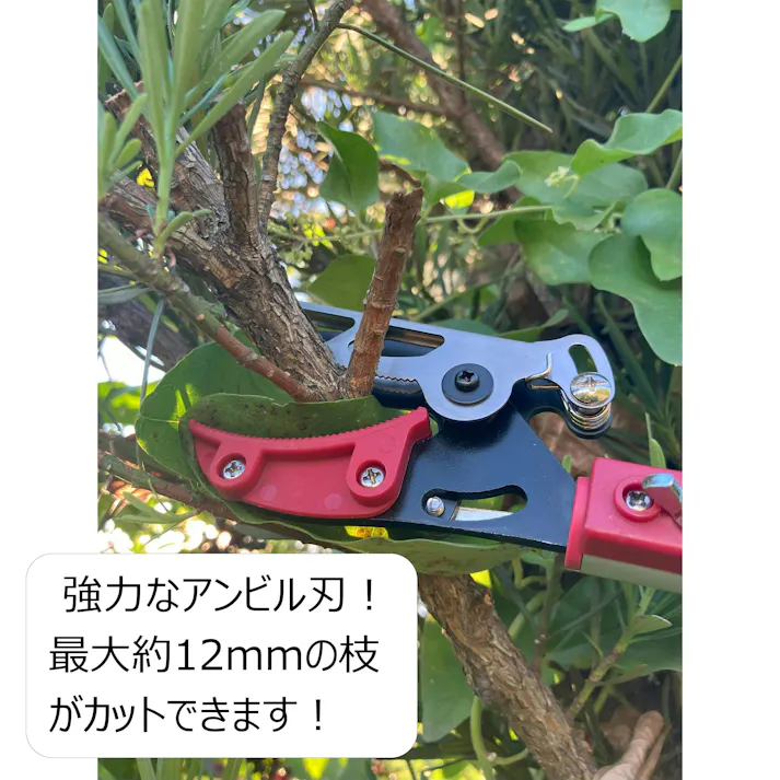 大進 伸縮式 高枝切りばさみ 2m 剪定 鋸 高枝切ばさみ 高枝切鋏 3段 4939736703397