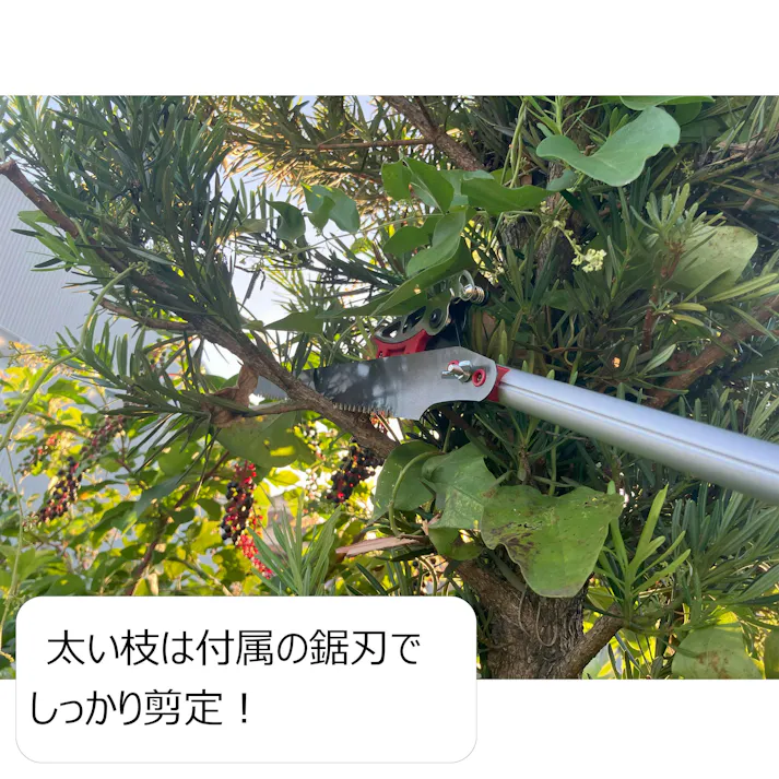 大進 伸縮式 高枝切りばさみ 2m 剪定 鋸 高枝切ばさみ 高枝切鋏 3段 4939736703397