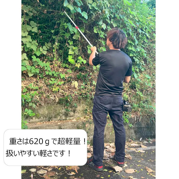 大進 伸縮式 高枝切りばさみ 2m 剪定 鋸 高枝切ばさみ 高枝切鋏 3段 4939736703397