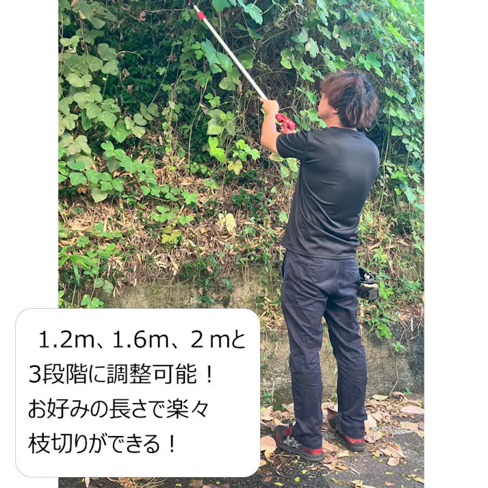 大進 伸縮式 高枝切りばさみ 2m 剪定 鋸 高枝切ばさみ 高枝切鋏 3段 4939736703397