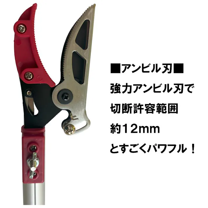 大進 伸縮式 高枝切りばさみ 2m 剪定 鋸 高枝切ばさみ 高枝切鋏 3段 4939736703397