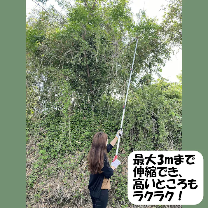 収納に便利な 伸縮式 高枝切りばさみ 3m 3段 のこぎり 高枝切鋏 伸縮式 DG-002R4 4939736702994