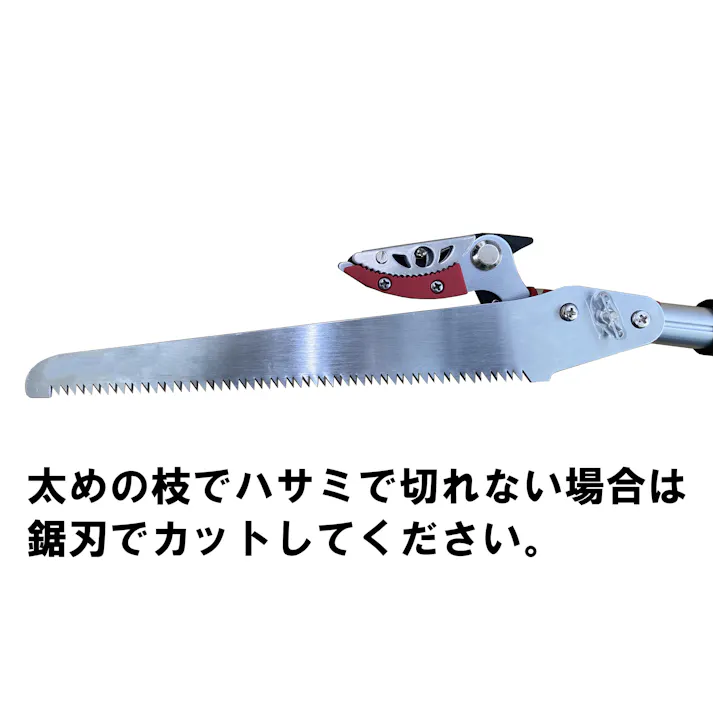 収納に便利な 伸縮式 高枝切りばさみ 3m 3段 のこぎり 高枝切鋏 伸縮式 DG-002R4 4939736702994