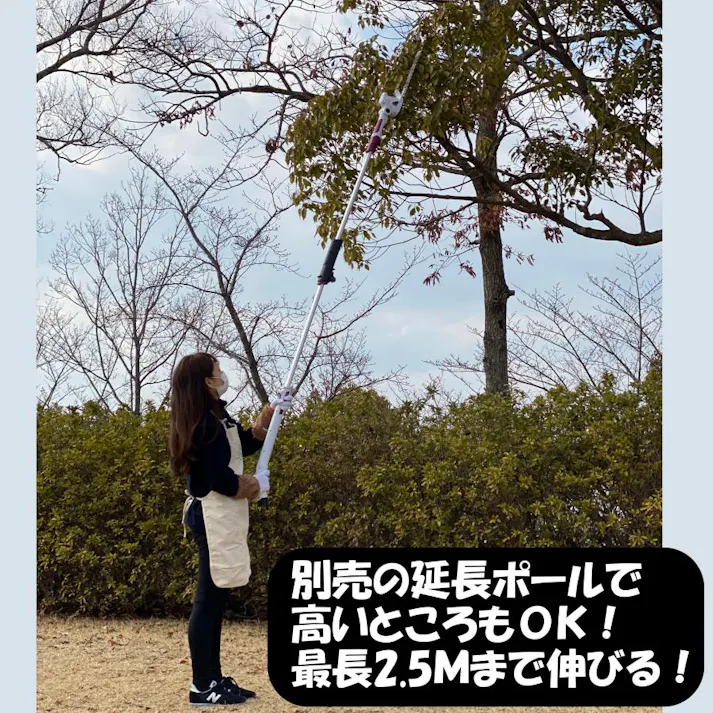 4WAYガーデンマジック ヘッジトリマー 芝刈り ノコギリ 土起こし 高枝 充電式 バッテリー式 4570000081669