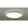 LSEB1120LE1 パナソニック LEDシーリングライト(LSシリーズ、引き紐、~8畳、昼光色)