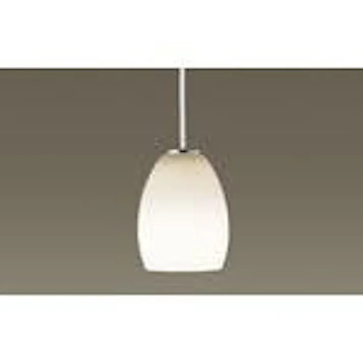 LSEB3239LE1 パナソニック 配線ダクト用LEDペンダントライト LSシリーズ 美ルック 電球色