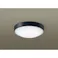 LSEW2025CF1 パナソニック 軒下用LEDシーリングライト LSシリーズ 集合住宅向け 昼白色