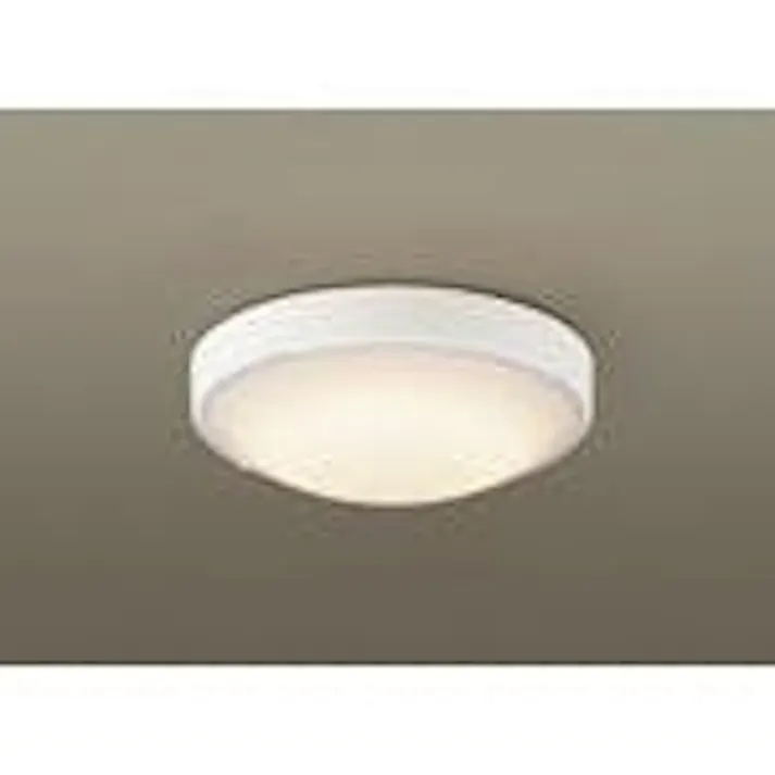 LSEW2028CF1 パナソニック 軒下用LEDシーリングライト LSシリーズ 集合住宅向け 電球色