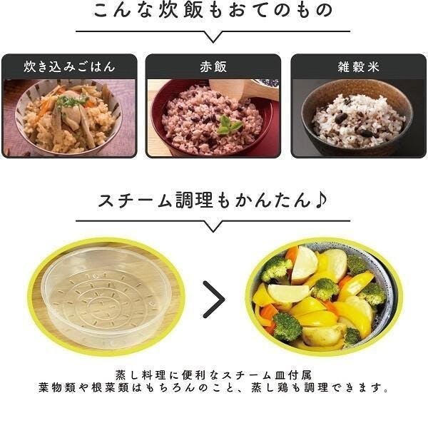 炊飯器 極UMADAKI 5合炊き 早炊き 無洗米 おかゆ 蒸し料理 白米 玄米