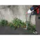 【立ったままでお手軽草刈り】 大進 たち刈る君 TK-1 草刈り 道具 草刈り機 草取り 雑草とり 道具 種類 立ったまま 草むしり 4939736502969