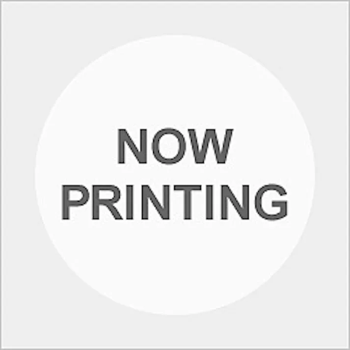 プレジール ICY69互換インクカートリッジ イエロー(顔料) PLE-E69Y メーカー在庫品