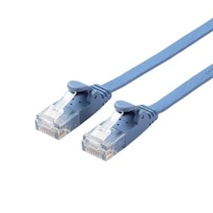 LANケーブル CAT6 フラット 10m ブルー LD-GF2 BU10 メーカー在庫品