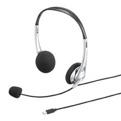USB TypeCヘッドセット メーカー在庫品 テレビ・AV機器 USB TypeCヘッドセット メーカー在庫品 テレビ・AV機器