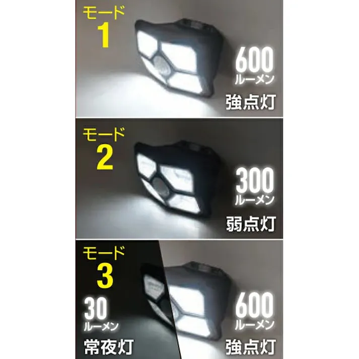 2台セット 大進 センサーライト ソーラーライト 屋外用 600ルーメン LED 防雨 人感 暗くなると点灯 防犯ライト DLS-WL009