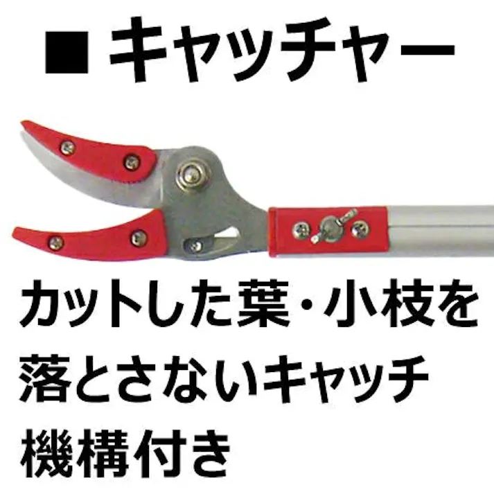 【 超軽量 最長 3mで840g 女性にも 】 大進 軽量 標準刃 高枝切りバサミ 高枝切鋏 ノコギリ 付き 高枝切りバサミ 太い枝 落とさない 高枝 はさみ 高枝切り狭 枝きりばさみ 高枝切ばさみ 剪定 伸縮 高枝鋏 枝切 女性用 軽い 超 軽量 お手軽 4939736702147