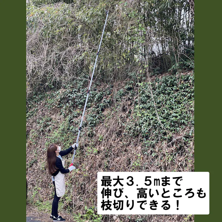 【 高い枝に 長さ 3.5m 】 大進 伸縮 式 高枝切鋏 高枝切りバサミ ノコギリ 付き 太い枝 枝切ばさみ たかえだきりばさみ 高枝 剪定鋏 高枝鋏 枝きりばさみ 高枝切り 太い枝 枝切 ハサミ 女性用 軽い 高枝切りのこぎり 庭木 せんていばさみ 強力 4939736703298