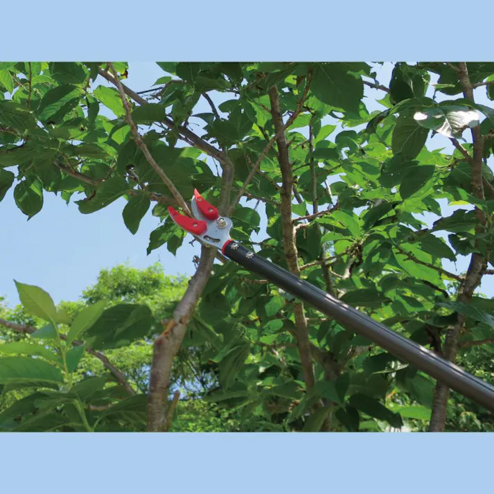 高枝切りバサミ たかえだはさみ 高枝切鋏 ミニフィット たかえだきりばさみ 伸縮 最長142cm 4939736701027