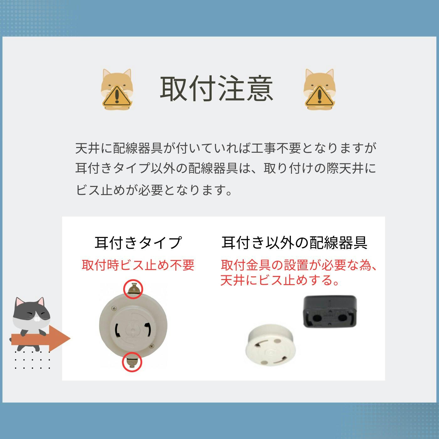 天井 5000000066950_03.jpg