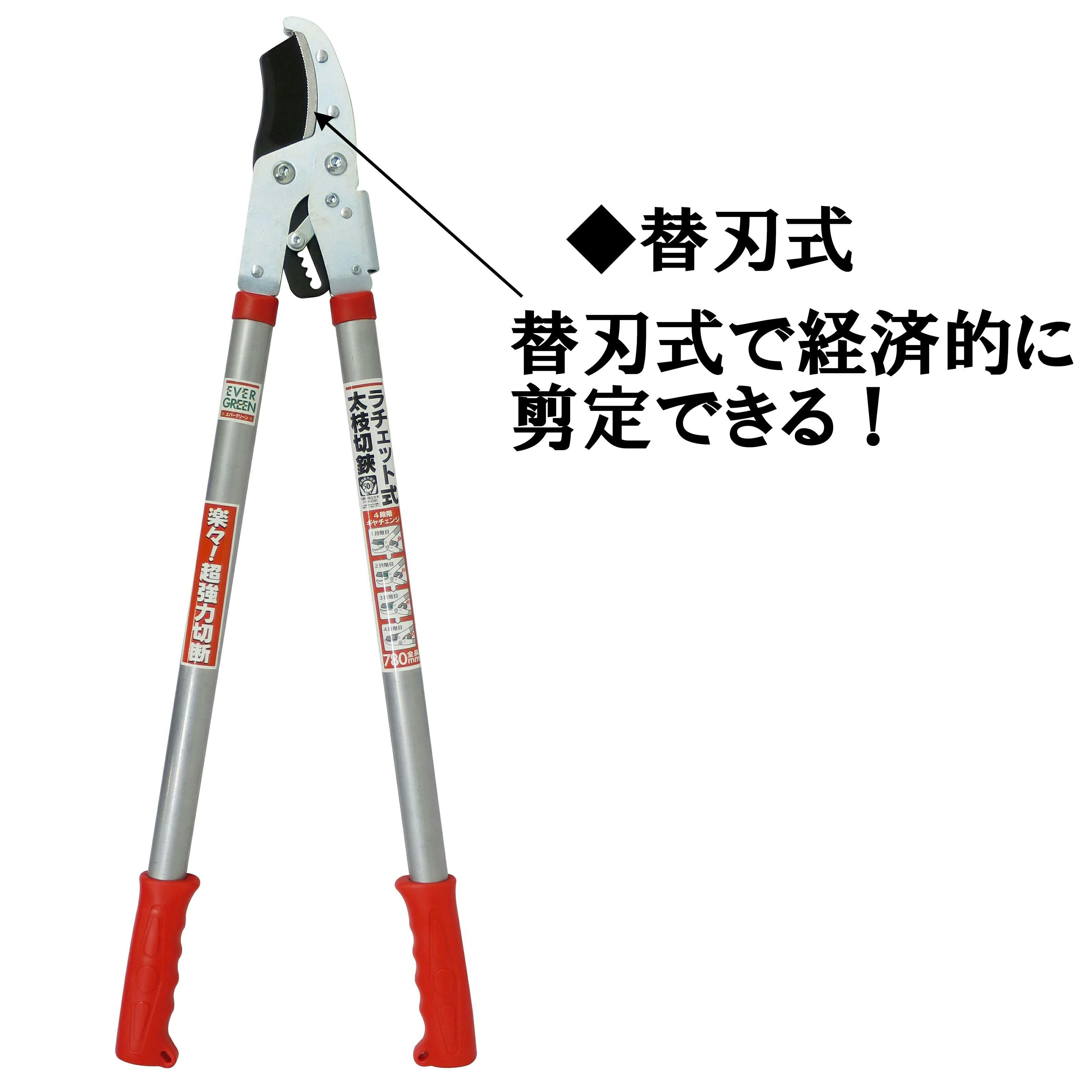 約5cmまでの枝が切れる 】 大進 ラチェット式太枝切鋏 50mm 太枝切り鋏