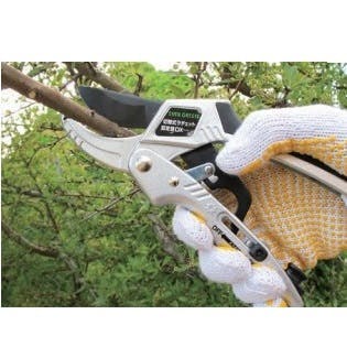 切替式ラチェット剪定鋏DX 大進 園芸ハサミ 農業 女性 庭 農作業