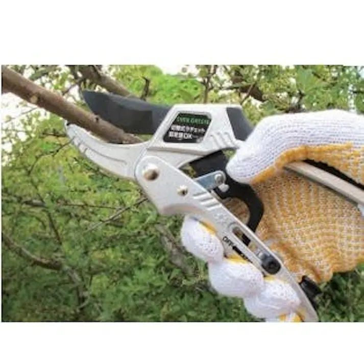 切替式ラチェット剪定鋏DX 大進 園芸ハサミ 農業 女性 庭 農作業 家庭菜園 剪定鋏 剪定ばさみ 園芸はさみ 果樹 庭木の剪定 盆栽 剪定道具 庭園作業 剪定ばさみ 剪定ハサミ 剪定はさみ 軽量 軽い お手軽 PRO用 4939736503041