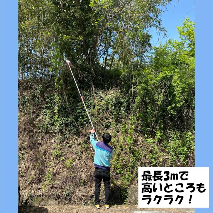 【最長3m 強力なアンビル刃 手引き鋸付き 】高枝切りバサミ 大進 手引き ノコギリ 付き 高枝 鋏 太い枝 高枝切鋏 キャッチ機能 高枝切り鋏 落とさない 枝切りバサミ 枝切り鋏 剪定鋏 枝きりばさみ はさみ 4939736701577