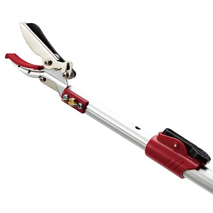 【最長3m 強力なアンビル刃 手引き鋸付き 】高枝切りバサミ 大進 手引き ノコギリ 付き 高枝 鋏 太い枝 高枝切鋏 キャッチ機能 高枝切り鋏 落とさない 枝切りバサミ 枝切り鋏 剪定鋏 枝きりばさみ はさみ 4939736701577