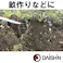 【 雑草が根からごっそり 】 大進 雑草根こそぎレーキ 草刈りレーキ 草取り 長柄 根こそぎ 草刈り 道具 種類 立ったまま 草取り器 立っ た まま 庭 の 雑草むしり らくらく 除草 畑 あぜ 道 公園 4939736702963