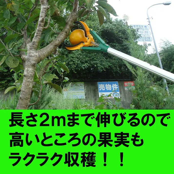 【ランプの交換 果樹取り ゴミ拾いに】 大進 つかむ君 高所 マジックハンド ゴミ拾い 軽量 農業 届かない 高い 長い 果樹 摘果 キャッチ 高所 つかみ つかむ 手の届かない 果実の収穫 栗 柿 交換 電球交換 高所作業 伸縮タイプ つかみ棒 伸縮 ロング 長い 4939736502952