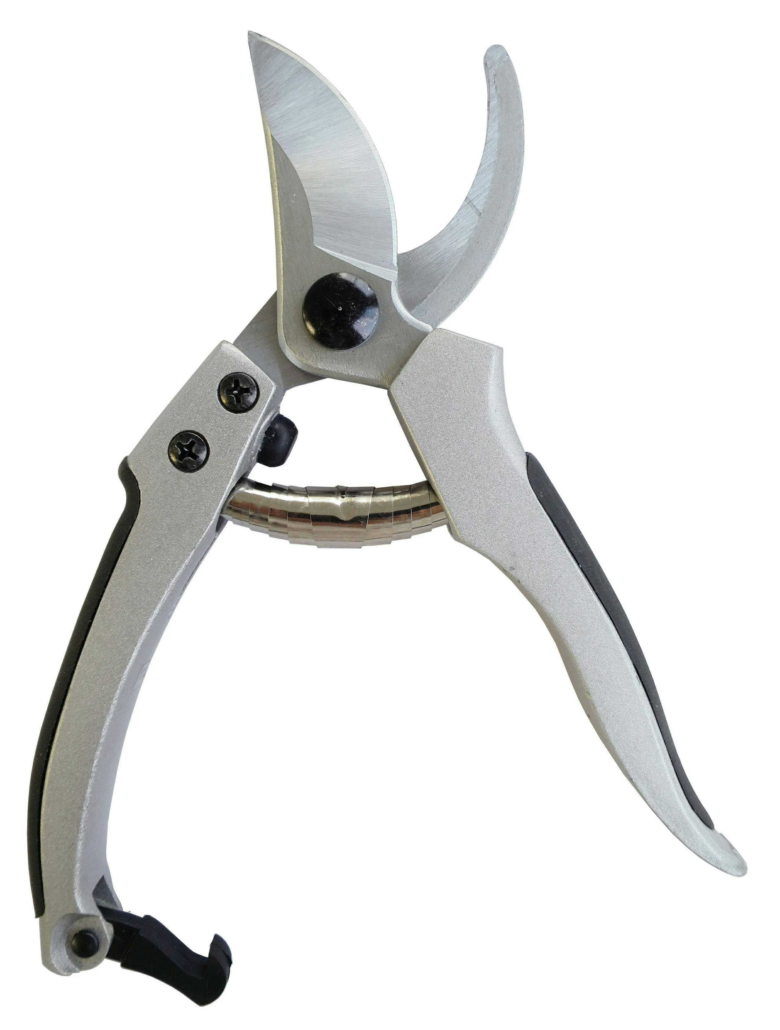 剪定鋏 アソート 大進 剪定ばさみ DX 剪定鋏 園芸はさみ 果樹 庭木の剪定 園芸