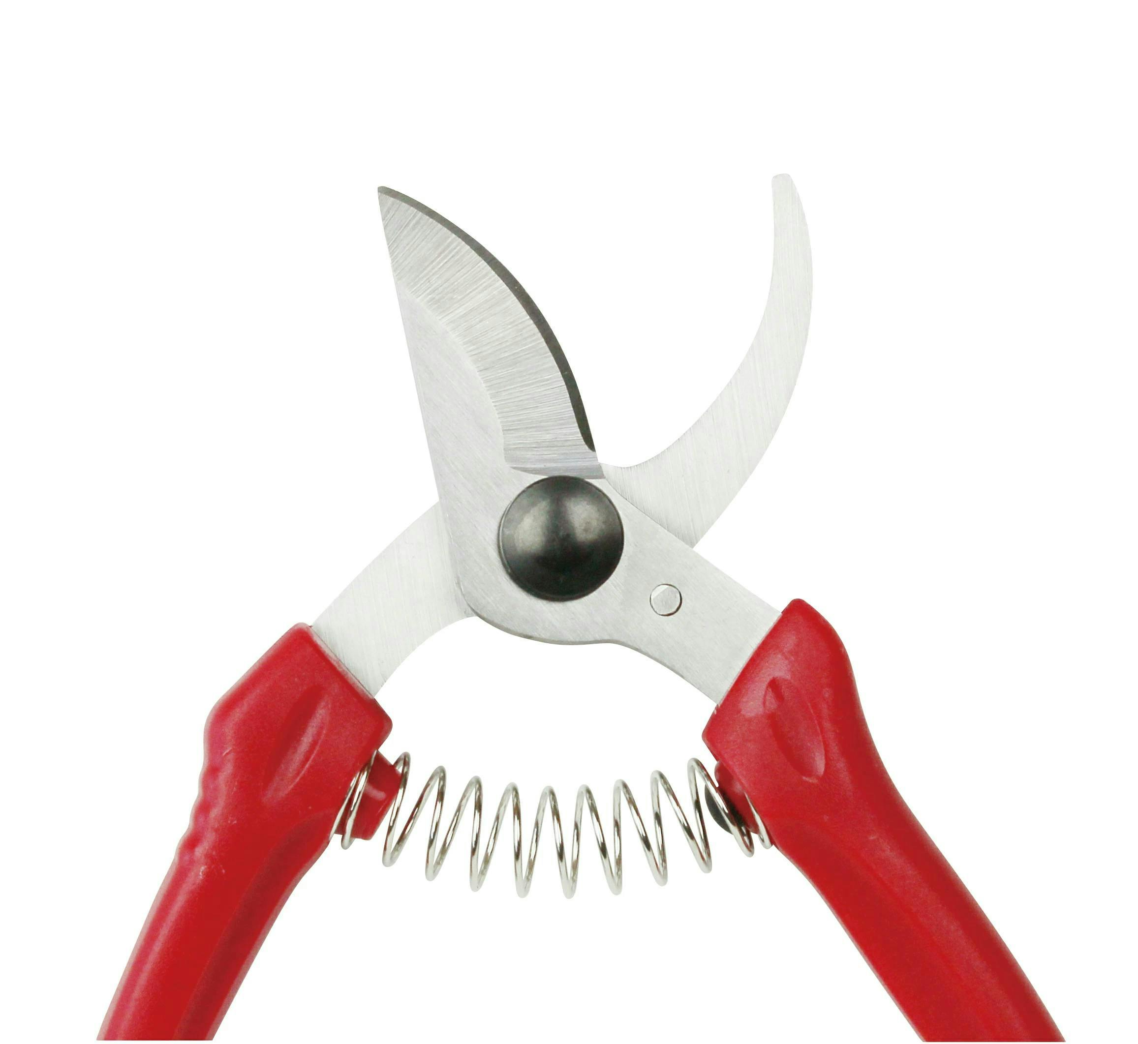 大進 ステンレス剪定鋏 180MM DG-S001 園芸ハサミ 芽切 ハサミ はさみ