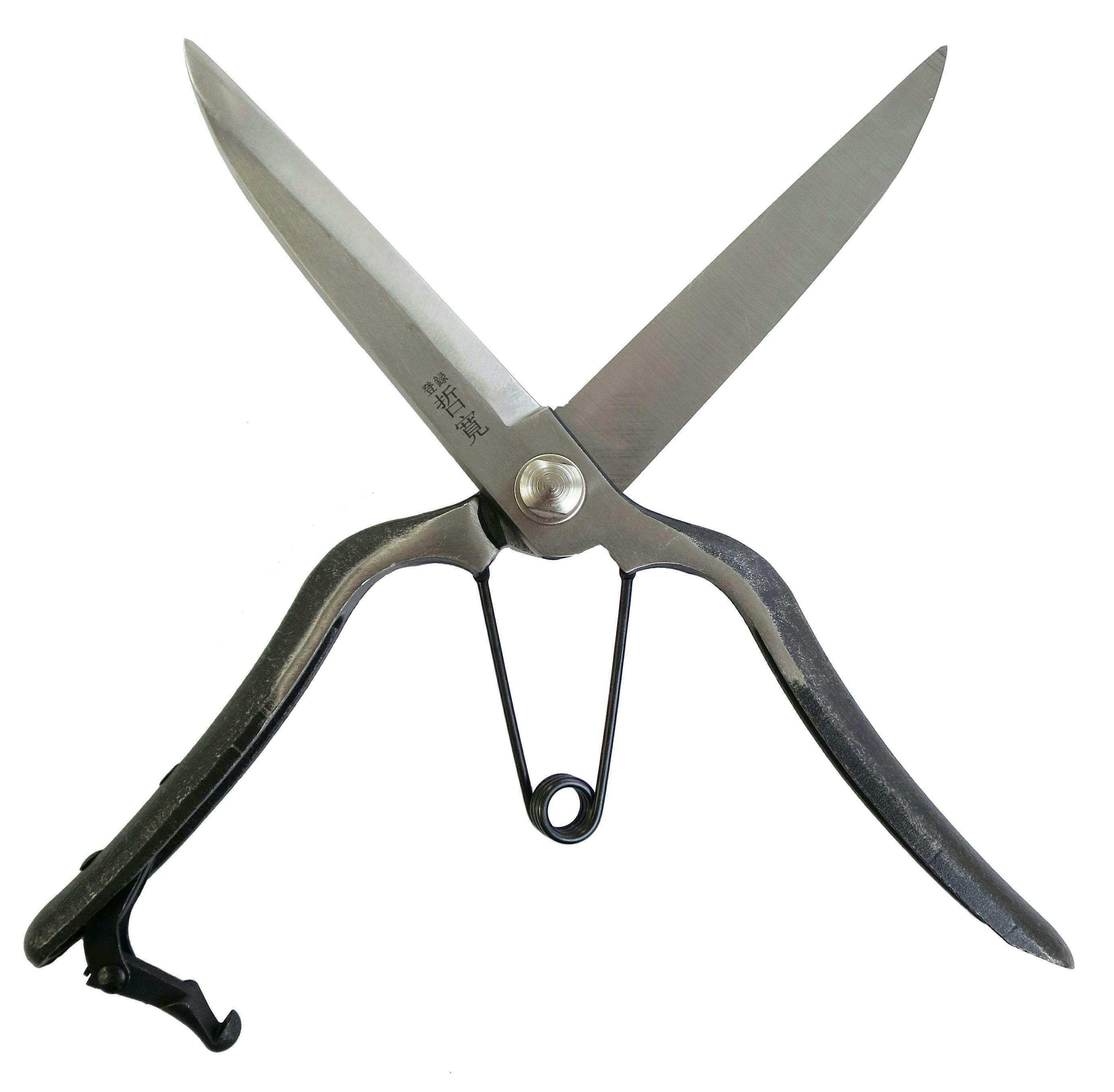 哲寛 本鍛造仕上げ鋏大進 園芸 ガーデニング 農業 園芸ハサミ 女性 庭