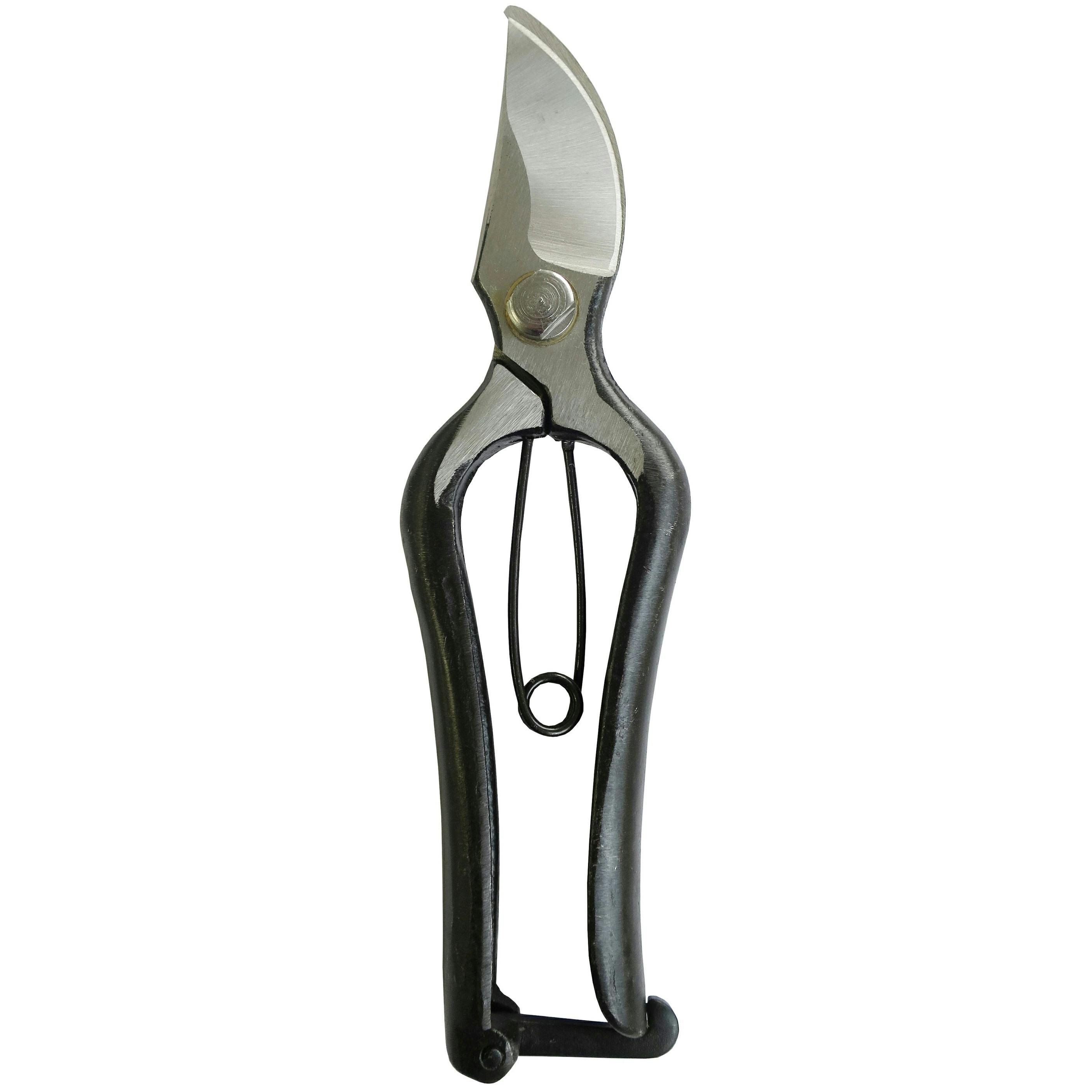 鍛造 剪定鋏 大進 園芸 農業 女性 庭 園芸ハサミ 農作業 家庭菜園 用具