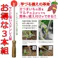 お得な3本セット 大進 らくらくイモヅル植え器 大進 さつまいも 植え付け 器 苗 マルチ らくらくイモヅル植え器 ステンレス 芋 イモ 芋づる イモツル マルチ 園芸 農業 女性 庭 農作業 家庭菜園 用具 工具 挿し 棒 イモ・苗挿し棒 4939736702383-3