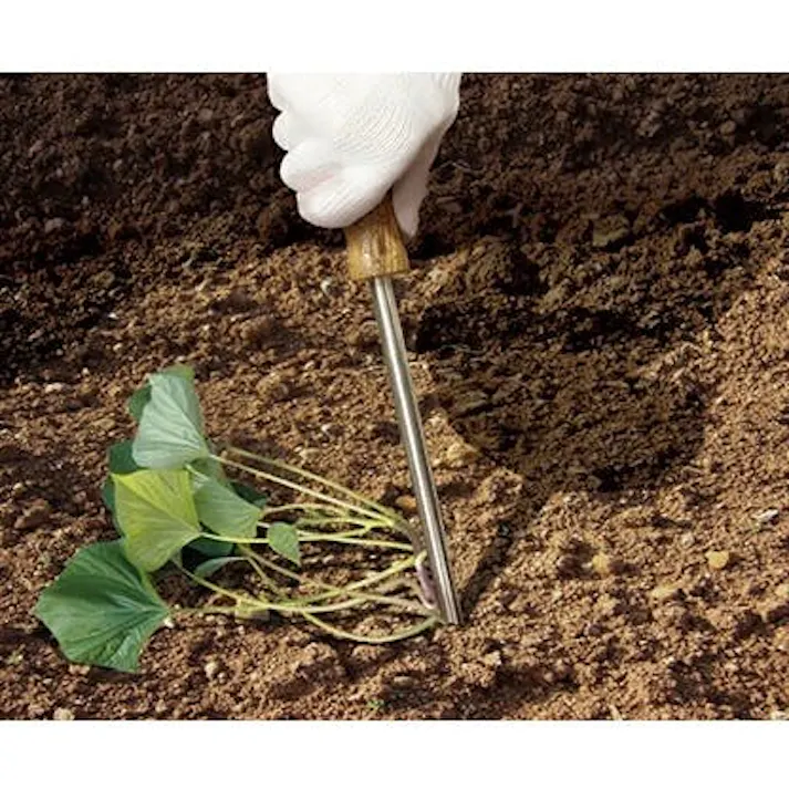 お得な3本セット 大進 らくらくイモヅル植え器 大進 さつまいも 植え付け 器 苗 マルチ らくらくイモヅル植え器 ステンレス 芋 イモ 芋づる イモツル マルチ 園芸 農業 女性 庭 農作業 家庭菜園 用具 工具 挿し 棒 イモ・苗挿し棒 4939736702383-3