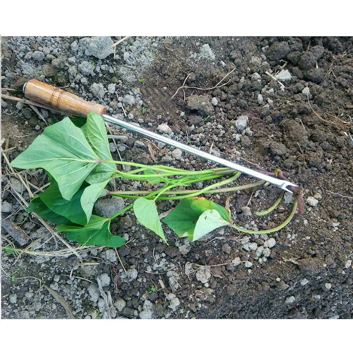 お得な3本セット 大進 らくらくイモヅル植え器 大進 さつまいも 植え付け 器 苗 マルチ らくらくイモヅル植え器 ステンレス 芋 イモ 芋づる イモツル マルチ 園芸 農業 女性 庭 農作業 家庭菜園 用具 工具 挿し 棒 イモ・苗挿し棒 4939736702383-3