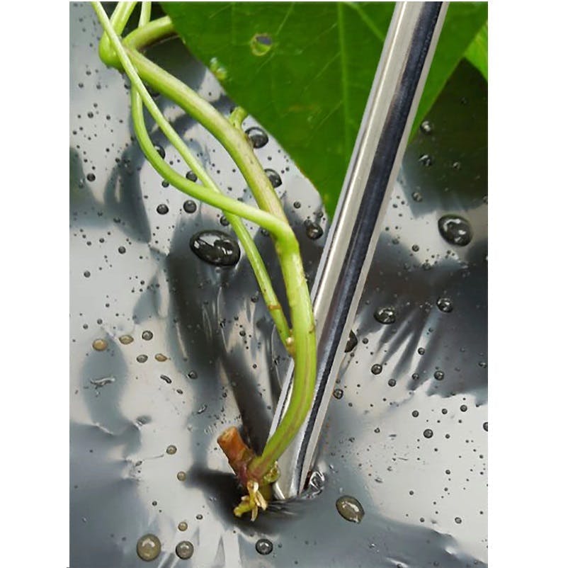 お得な3本セット 大進 らくらくイモヅル植え器 大進 さつまいも