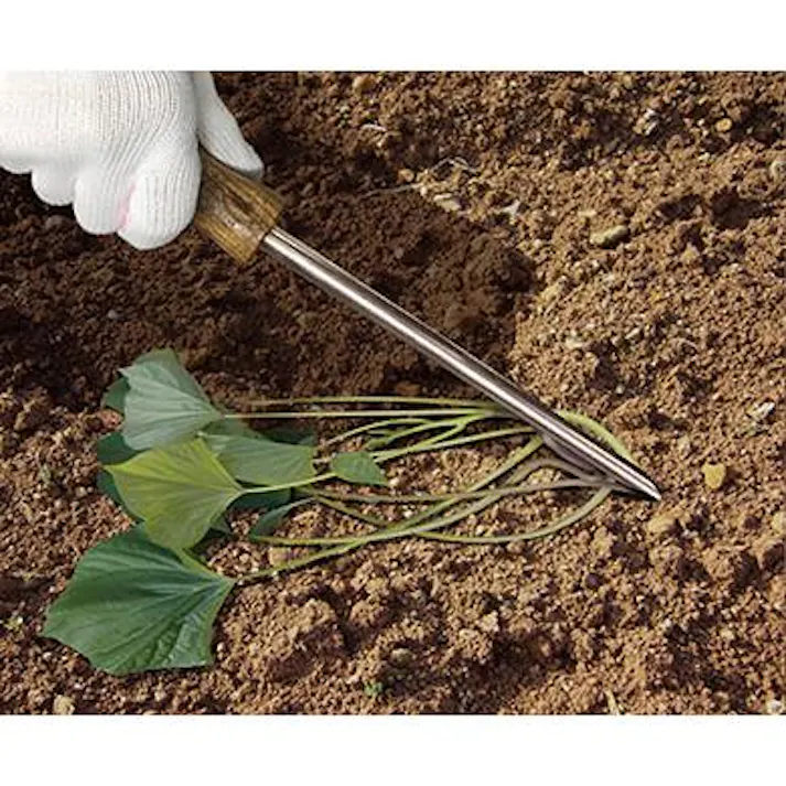 お得な3本セット 大進 らくらくイモヅル植え器 大進 さつまいも 植え付け 器 苗 マルチ らくらくイモヅル植え器 ステンレス 芋 イモ 芋づる イモツル マルチ 園芸 農業 女性 庭 農作業 家庭菜園 用具 工具 挿し 棒 イモ・苗挿し棒 4939736702383-3