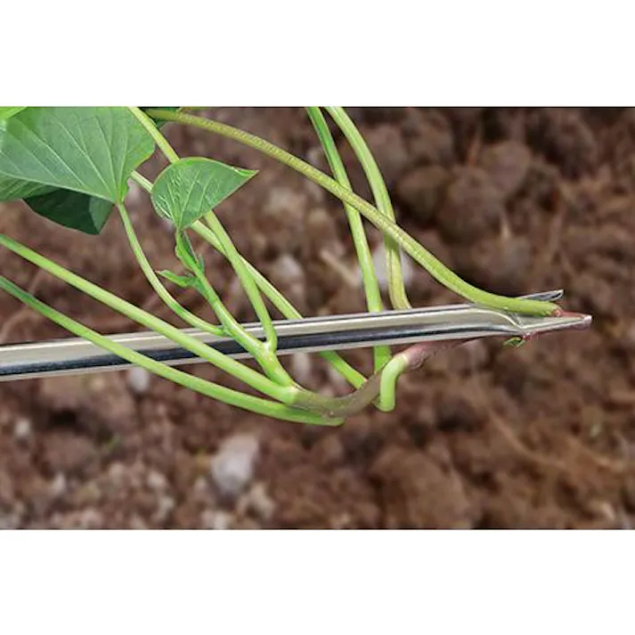 お得な3本セット 大進 らくらくイモヅル植え器 大進 さつまいも 植え付け 器 苗 マルチ らくらくイモヅル植え器 ステンレス 芋 イモ 芋づる イモツル マルチ 園芸 農業 女性 庭 農作業 家庭菜園 用具 工具 挿し 棒 イモ・苗挿し棒 4939736702383-3