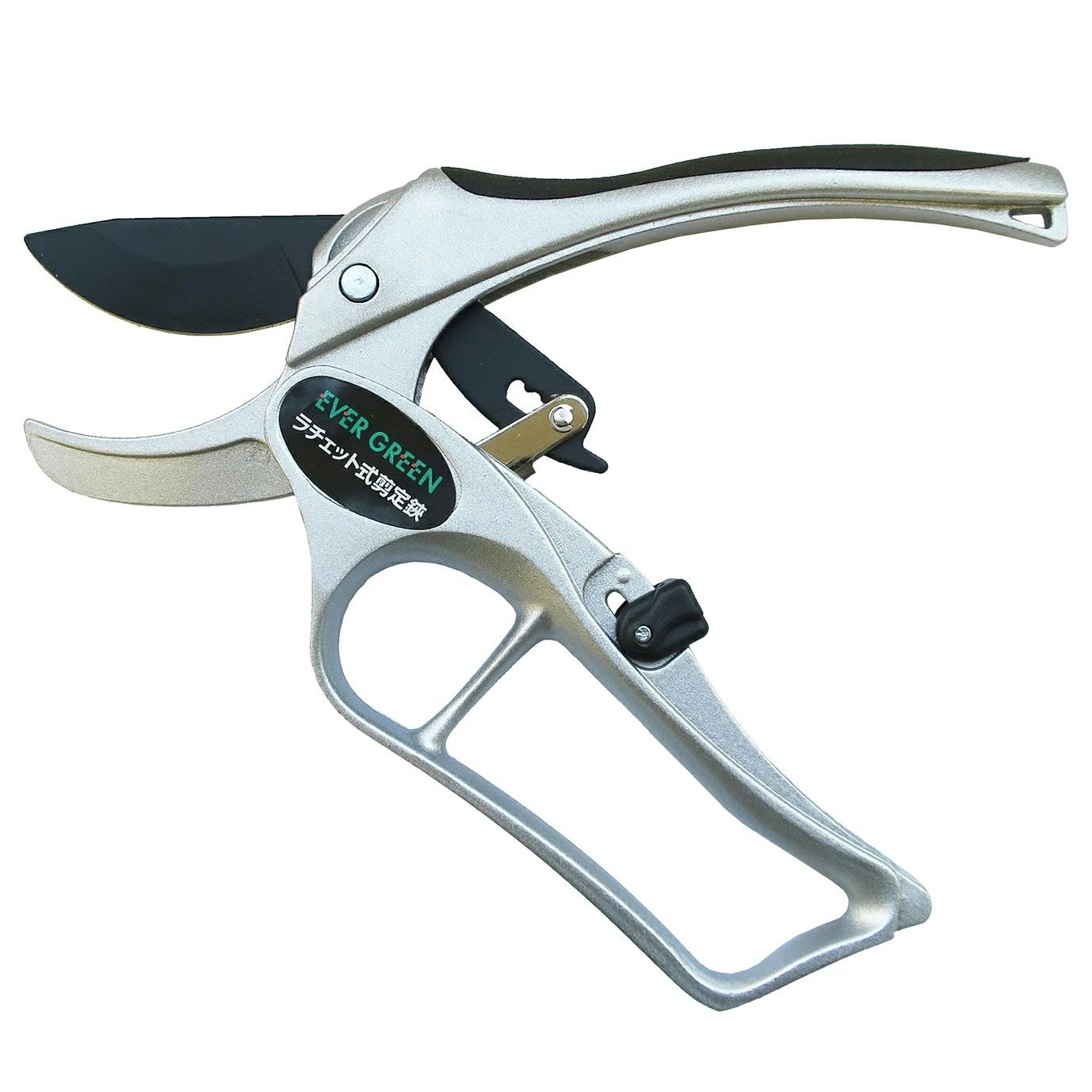 剪定鋏 アソート 大進 ラチェット式剪定鋏DX 剪定鋏 剪定ばさみ 園芸はさみ 果樹 庭木の