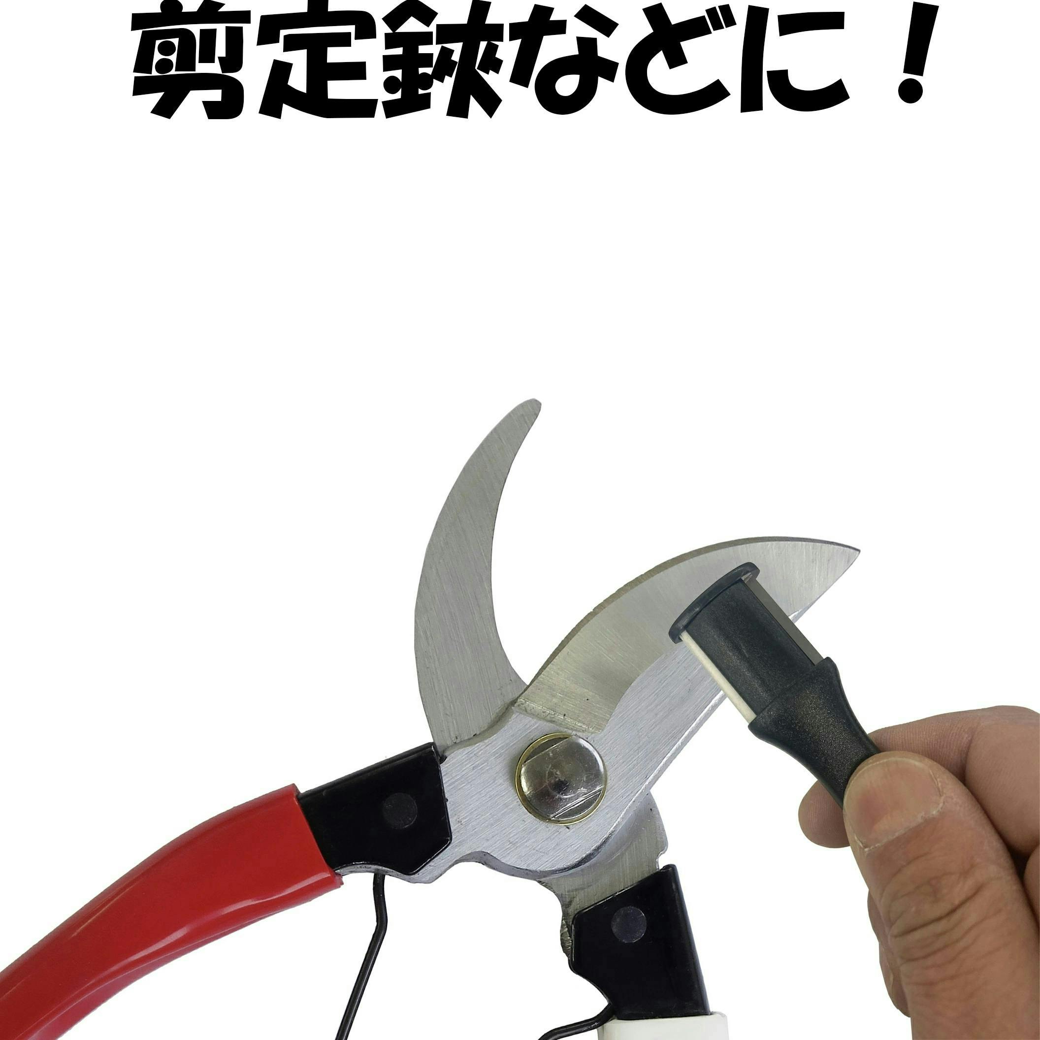 DAISHIN 超硬万能刃砥ぎ 大進 砥石 園芸 ガーデニング 農業 女性 庭